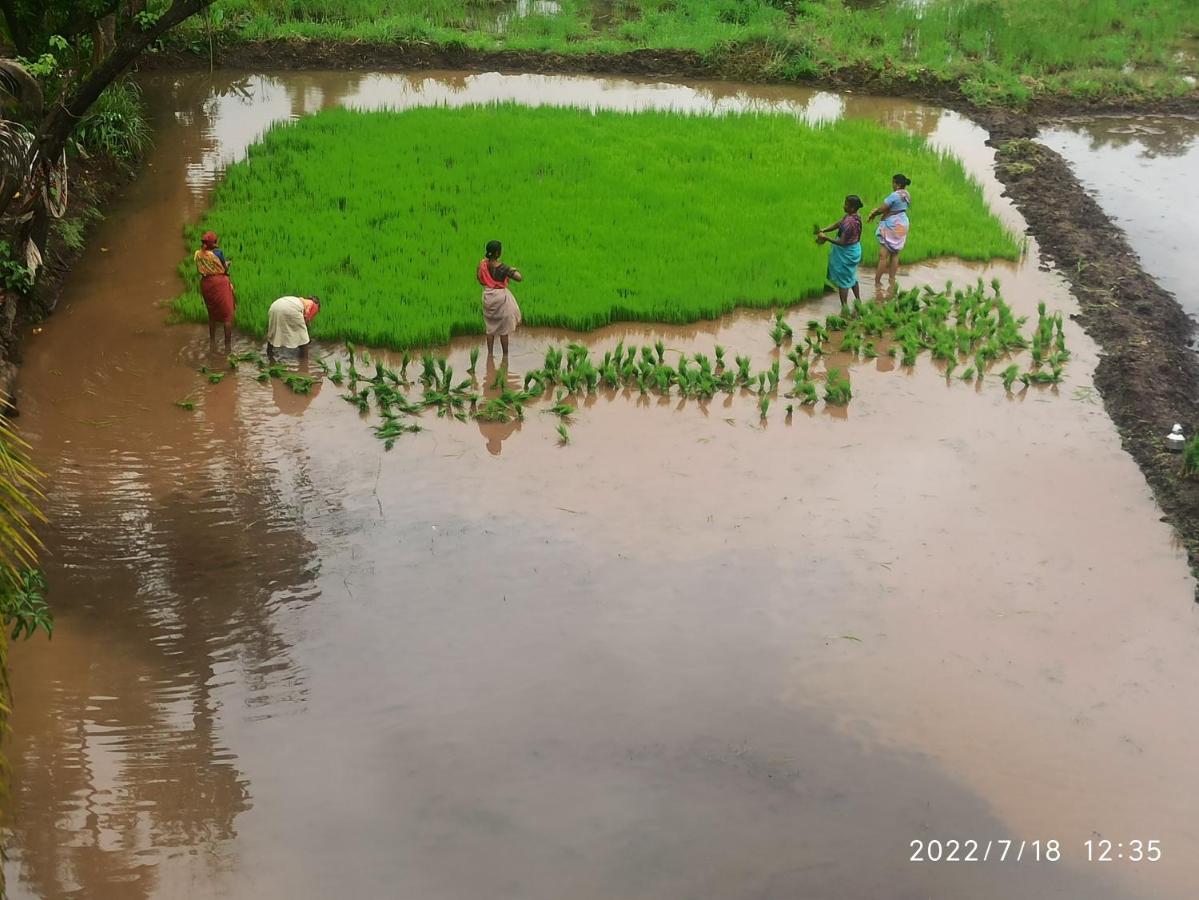 Priyansh Home Stay Harihareshwar 外观 照片